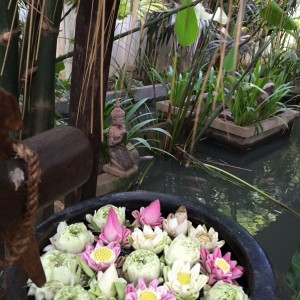 Nhà Em Đang Cần Lắm Một Chị Chuyên Nấu Ăn Món Á – Hoa