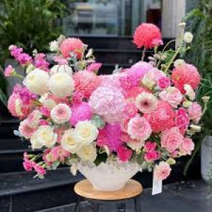 Tuyển chị giúp việc làm ở Quận 2, Thảo Điền.
