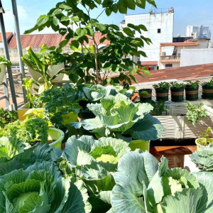 Nhà Trệt 2 Lầu Cần Chị Biết Nấu Ăn Và Dọn Dẹp