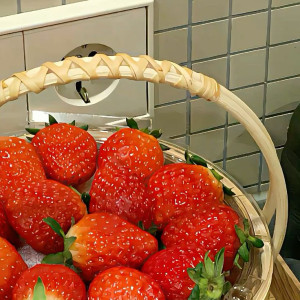 CẦN TÌM CÔ GIÚP VIỆC NHÀ Ở LẠI – LƯƠNG 10 TRIỆU/THÁNG