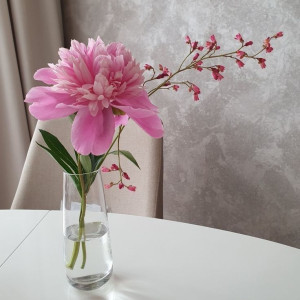 cần tìm 1 chị giúp việc làm ở lại tại chung cư Bình Thạnh