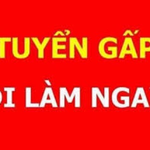 Tuyển gấp chị Tạp vụ văn phòng đi về Q Bình Thạnh