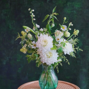 Nhà 3 người lớn cần 1 chị giúp việc nhà tại quận Tân Phú