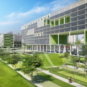 Tuyển nam chăm sóc cây cảnh Quận 7