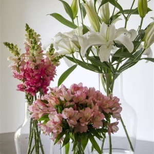 Quận 10 cần tìm 1 chị giúp việc bao ăn ở lương cao.