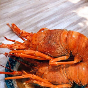 CÔNG VIỆC ĂN Ở LẠI TẠI TÂN BÌNH