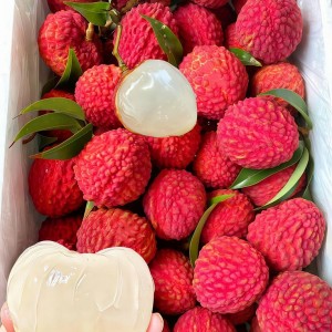 Cần chị giúp việc nhà chung cư ở Gò Vấp 3 tiếng buổi chiều