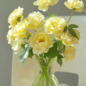 Cần gấp 1 chị giúp việc tại quận 2