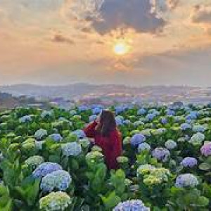 Cấn tuyển chị giúp việc nhà tại đà lạt