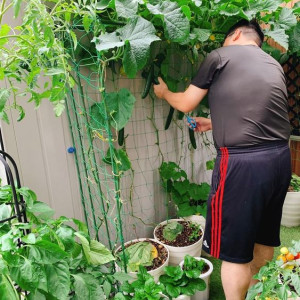 Nhà 1 Người Ở Tân Bình Tìm Chị Giúp Việc.