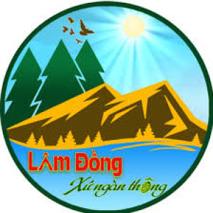 Công việc ăn ở lại tại Lâm Đồng