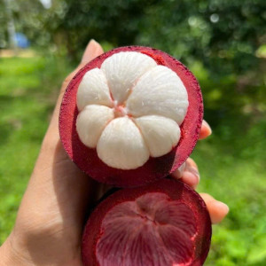 Cần Chị Đến Phụ Công Việc Trong Gia Đình