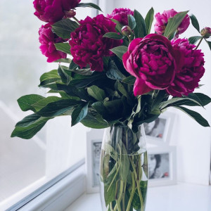 Bố đơn thân cần tìm chị giúp việc nhà tại quận 3