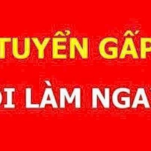 CẦN TUYỂN GẤP CHỊ CHĂM SÓC ÔNG TẠI PHÚ MỸ VŨNG TÀU
