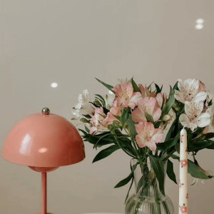 tìm giúp việc nhà