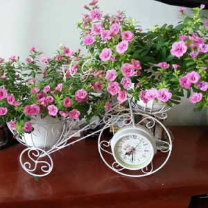 SÁNG NAY CẦN LIỀN CHỊ ĐẾN NỘI TRỢ Ở LẠI