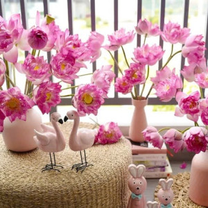 Tìm Chị Có Kinh Nghiệm Chăm Sóc Người Cao Tuổi