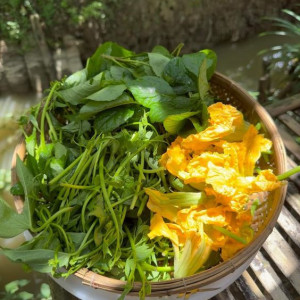 Tìm Chị Chăm Bé Bao Ăn Ở Tại Quận 3. Bé 1 Tuổi.