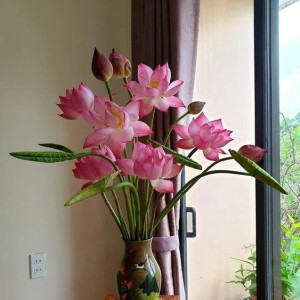 Cần người chăm bà