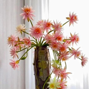 Nhà 1 trệt 2 lầu cần tuyển gấp 1 cô giúp việc nhà bao ăn ở tại Gò Vấ