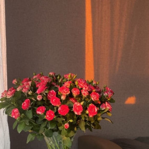 Tuyển thu ngâb shop quần áo