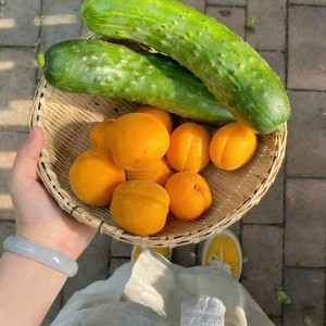 Em Đang Muốn Tìm Chị Nấu Ăn Và Dọn Dẹp Nhà Cửa Ạ