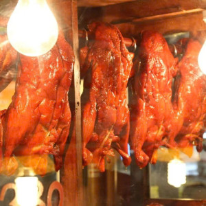 Công việc ăn ở lại tại quận 11