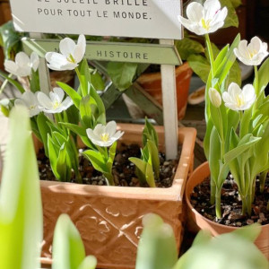 Bé 6 tháng tuổi cần tìn 1 chị chăm bé tại quận 3