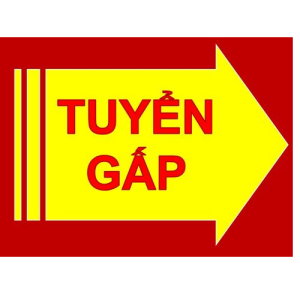 THA THIẾT EM TUYỂN GẤP CÔ GIÚP VIỆC NHÀ LƯƠNG 12 TRIỆU Ở QUẬN 6