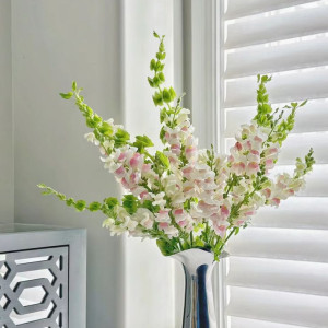 Cần gấp trong hôm nay cô chăm bà 78 tuổi làm việc tại Q8 ở lại