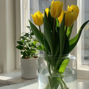 Khu đô thị Sala quận 2 tìm chị giúp viêc nhà