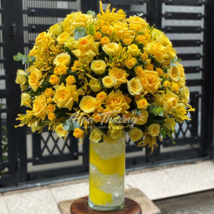 Tìm Chị Chuyên Chăm Sóc Người Lớn Tuổi Có Thể Ở Lại Được