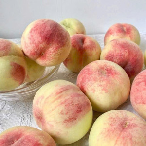 Hiện Em Đang Tìm Chị Biết Giúp Việc Trong Nhà