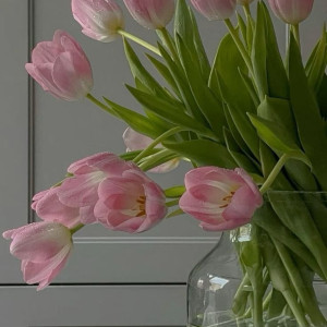 Tìm 1 chị dưới 50 tuổi giúp việc gia đình tại quận 10