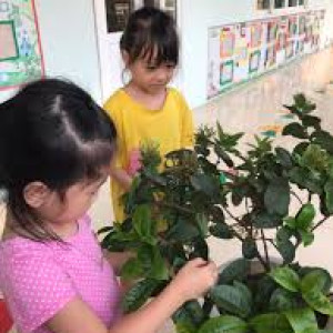 Cần Gấp cô chăm bé 7 tháng làm việc đi về tại quận 12 nhà em chỉ 1 lầu