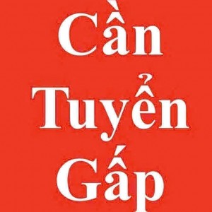 Nhà em đơn chiếc cần tuyển cô giúp việc nhà ở lại tại quận 1