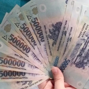 EM Ở QUẬN 3 CẦN TÌM CHỊ GIÚP VIỆC DƯỚI 50 TUỔI – LƯƠNG 10 TRIỆU