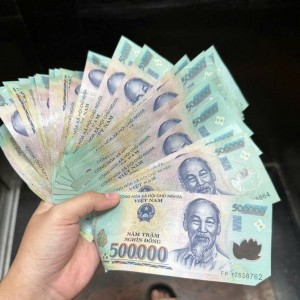 Trong Sáng Nay Em Cần Tìm Chị Nấu Ăn Và Dọn Dẹp Nhà Cửa Ở Lại